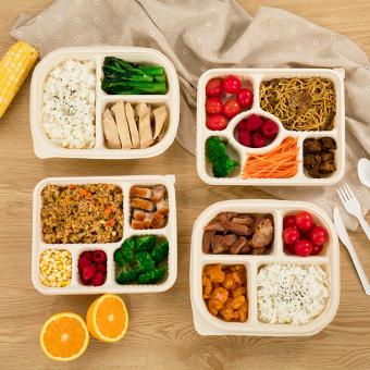 Disposable Biodegradable Containers