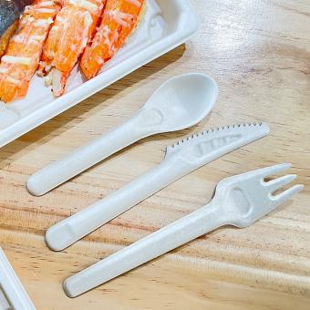 Cutlery Tablewares Disposable