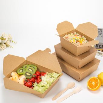 disposable food packing box