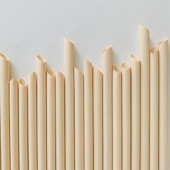 Disposable Bamboo Fiber Straws