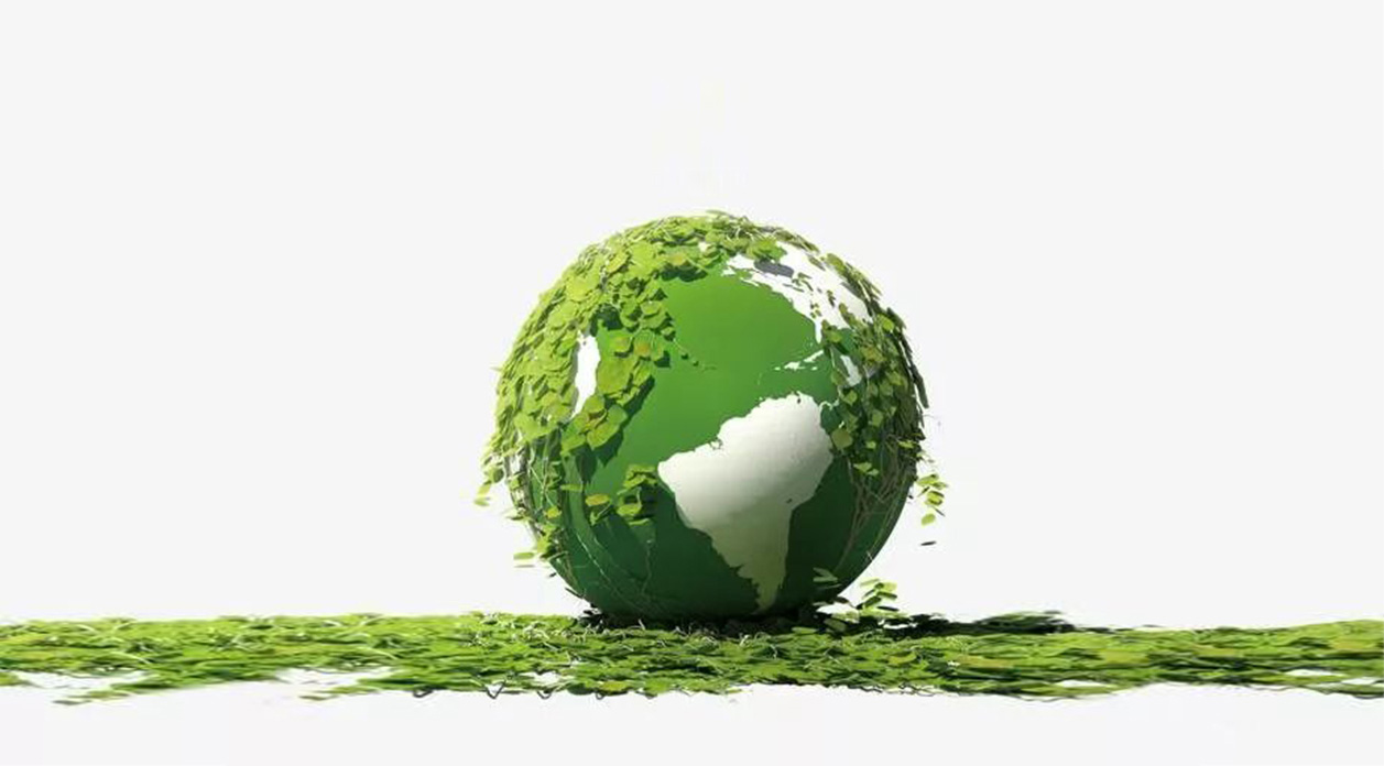Wadah Makanan Biodegradable Fpacksolution